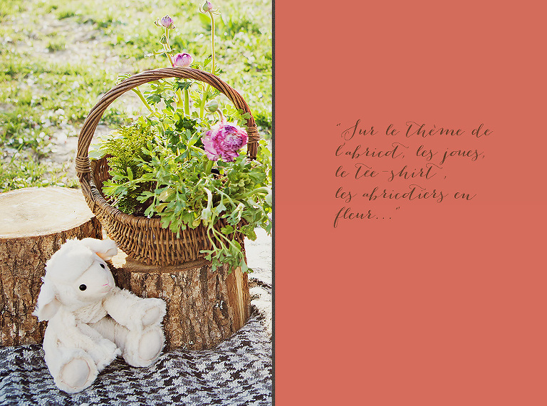Colibri_Studio_Photographe_mariage_Montpellier_Nimes_Gard_Herlaut_Famille_Erin_017